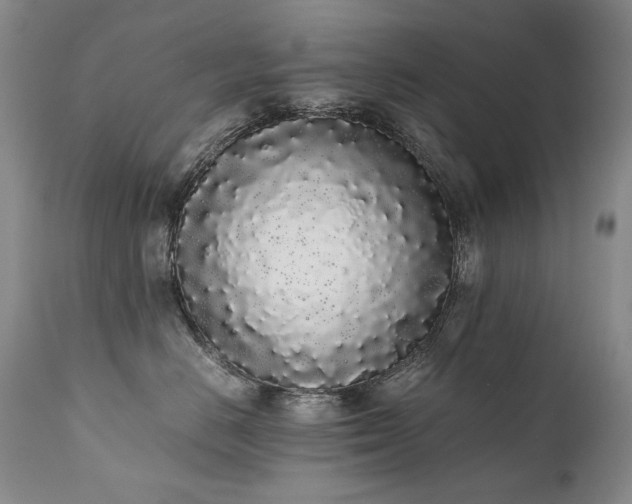 X0000111450670200907131330