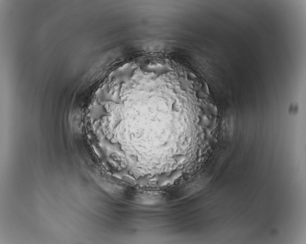 X0000111450671200907131330