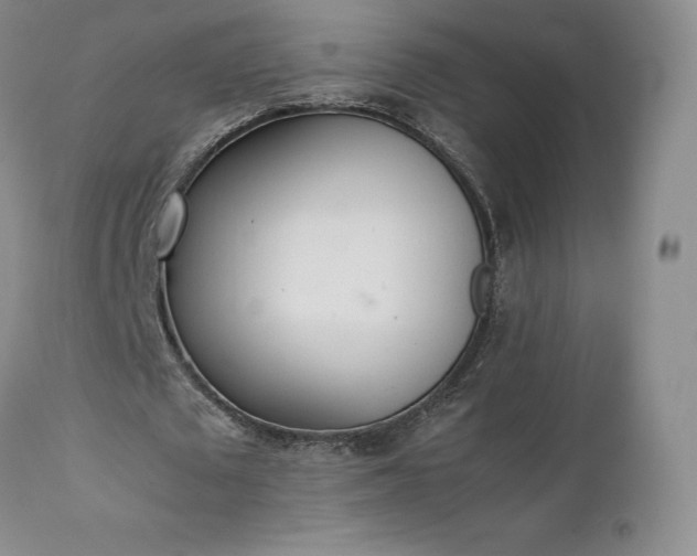X0000111450673200907131329