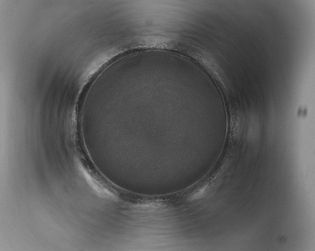 X0000111450674200907131329