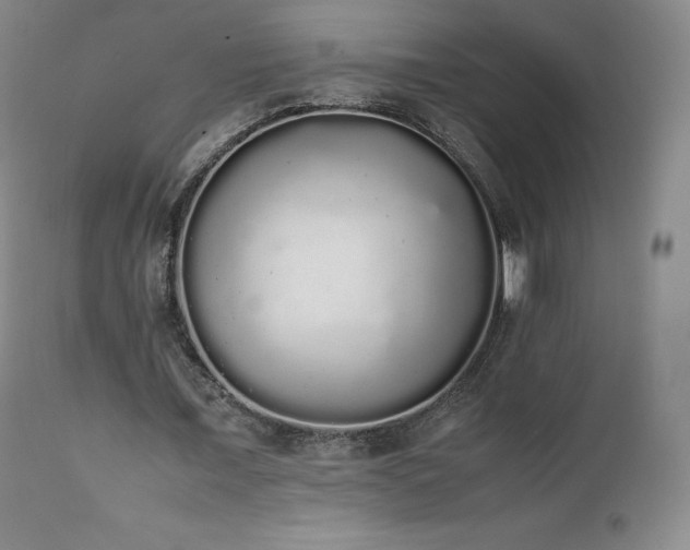 X0000111450675200907131329