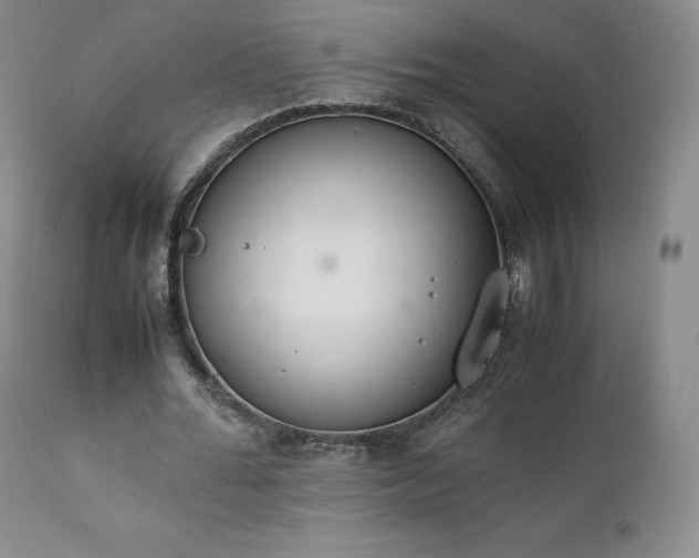 X0000111450676200907131329