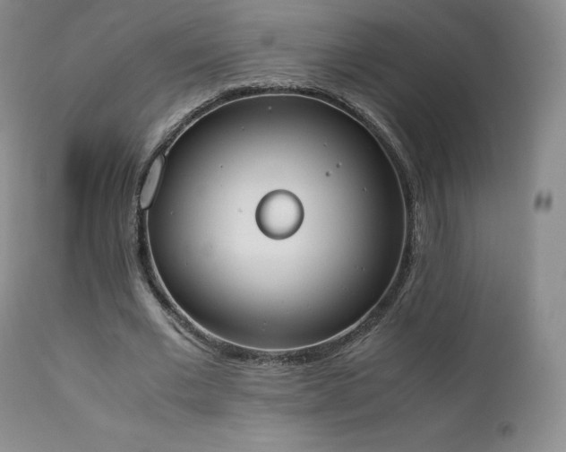 X0000111450677200907131329