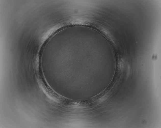 X0000111450678200907131329