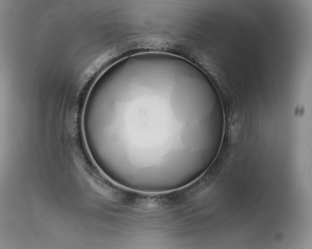X0000111450679200907131329