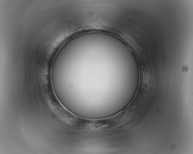X0000111450680200907131329