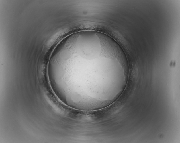 X0000111450683200907131329