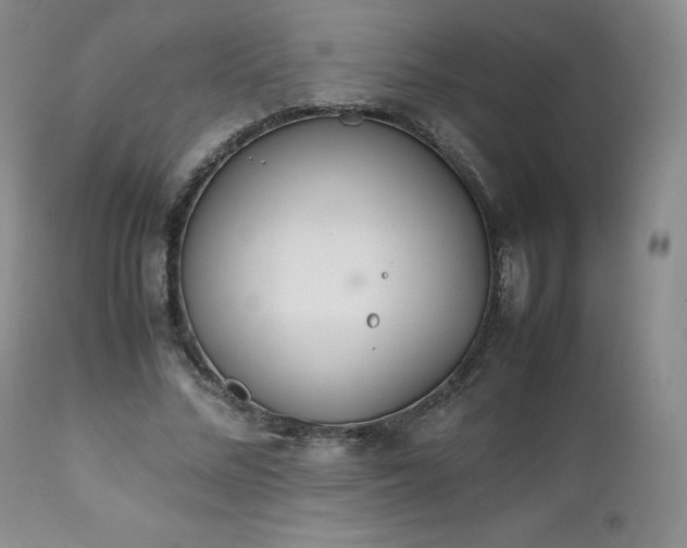 X0000111450684200907131329