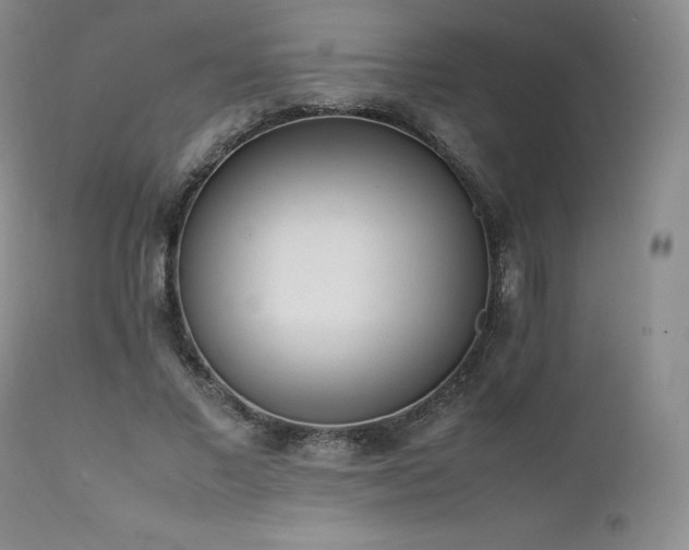 X0000111450685200907131329