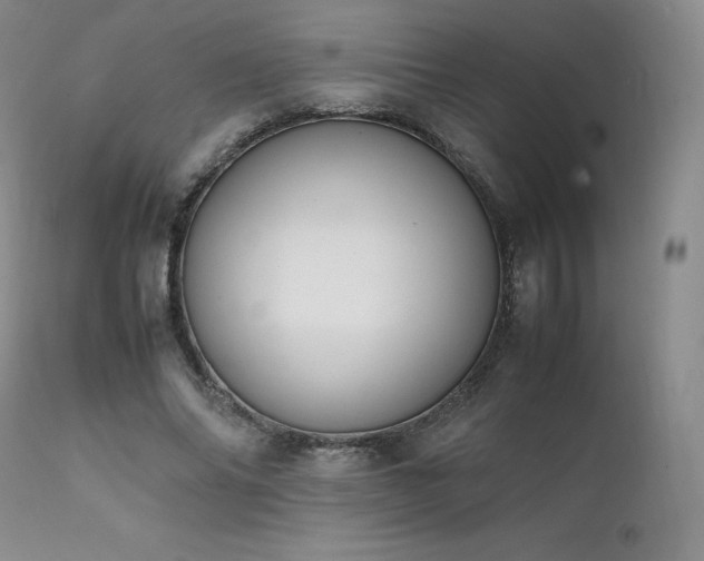 X0000111450686200907131329