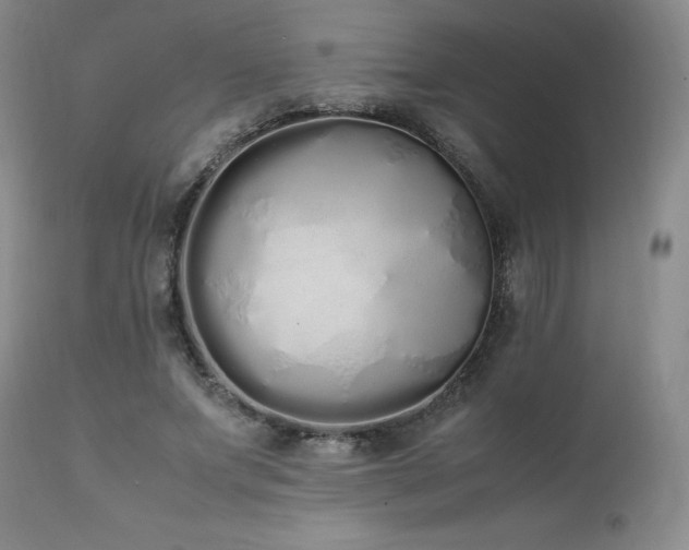 X0000111450687200907131329