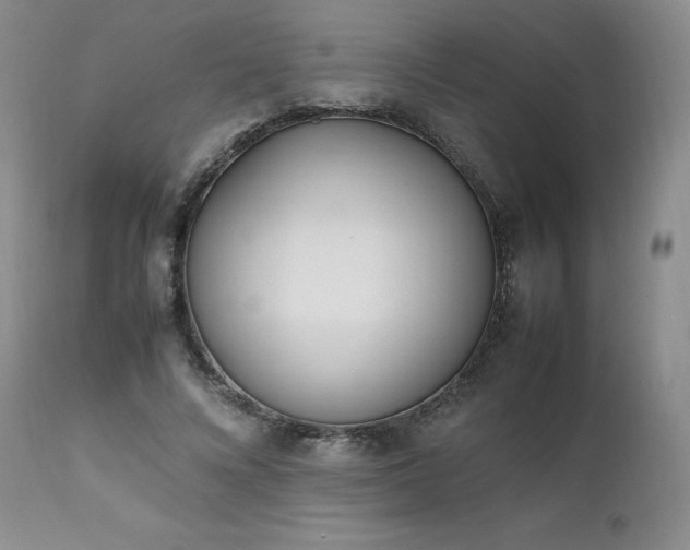 X0000111450688200907131329