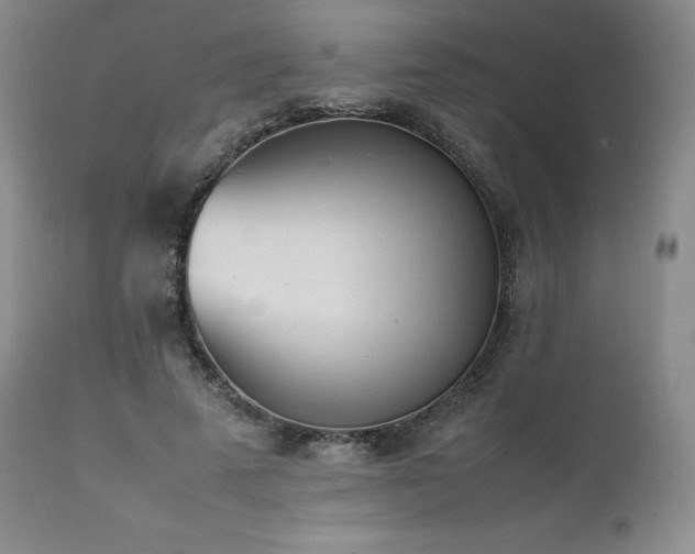 X0000111450689200907131329