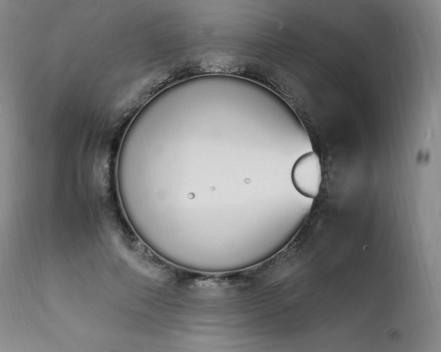 X0000111450690200907131329