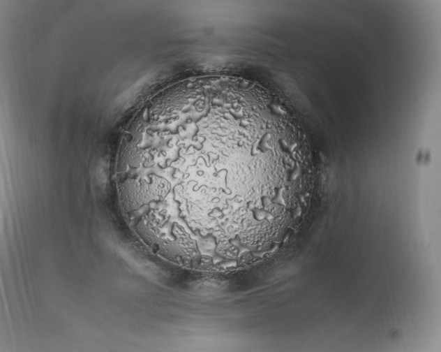 X0000111450691200907131329