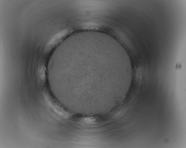 X0000111450692200907131329