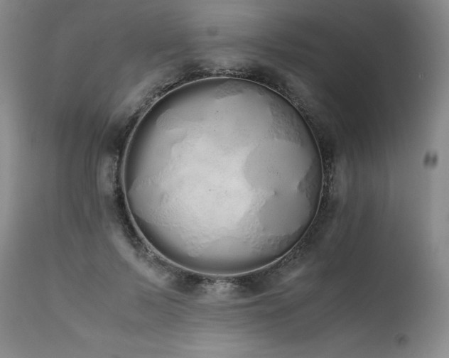 X0000111450695200907131329