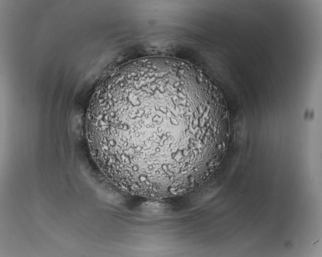 X0000111450699200907131329