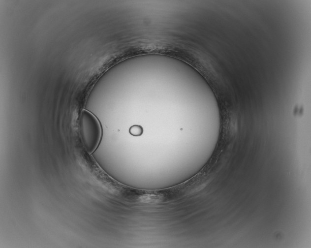 X0000111450700200907131329