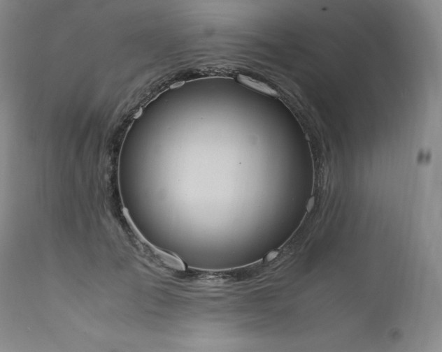 X0000111450701200907131329