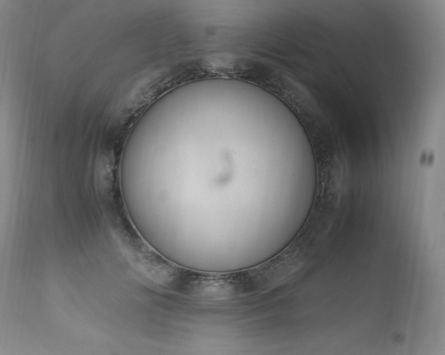 X0000111450702200907131329