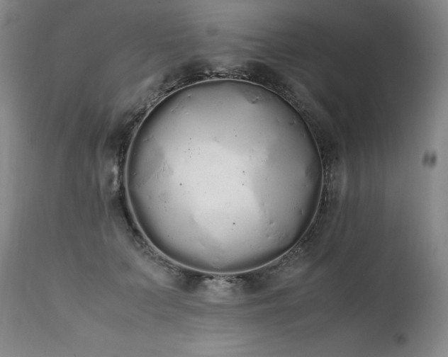 X0000111450703200907131329