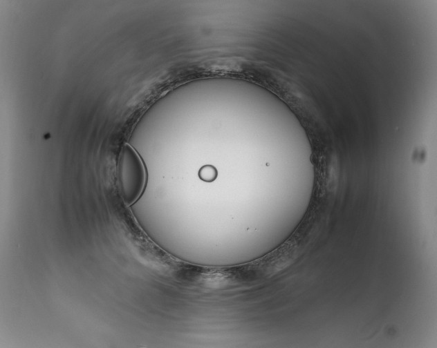 X0000111450704200907131329