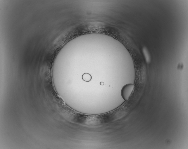 X0000111450705200907131329
