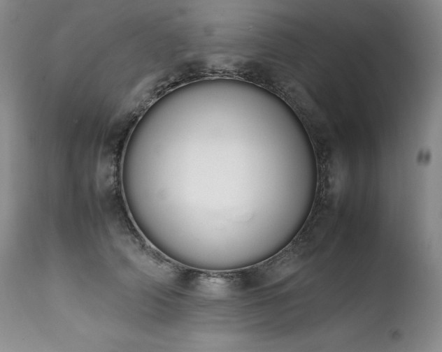 X0000111450706200907131329