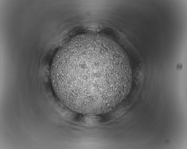 X0000111450707200907131329