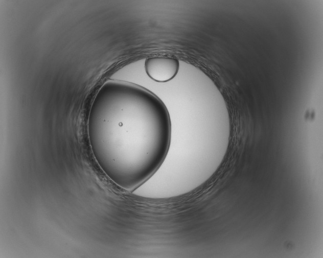 X0000111450708200907131329