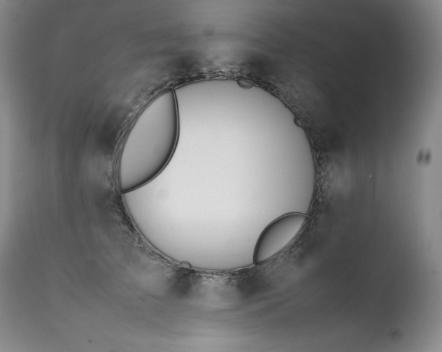 X0000111450709200907131329
