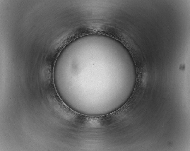 X0000111450710200907131329