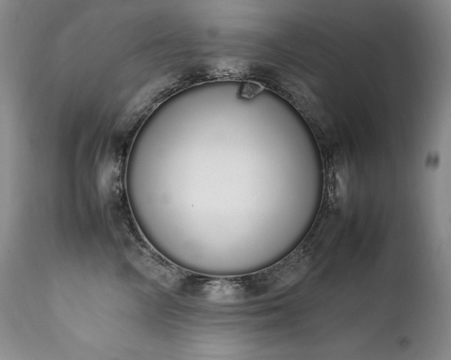 X0000111450714200907131329