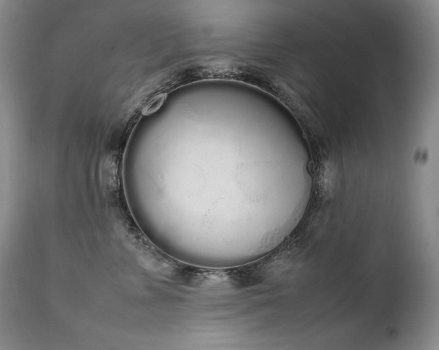 X0000111450715200907131329