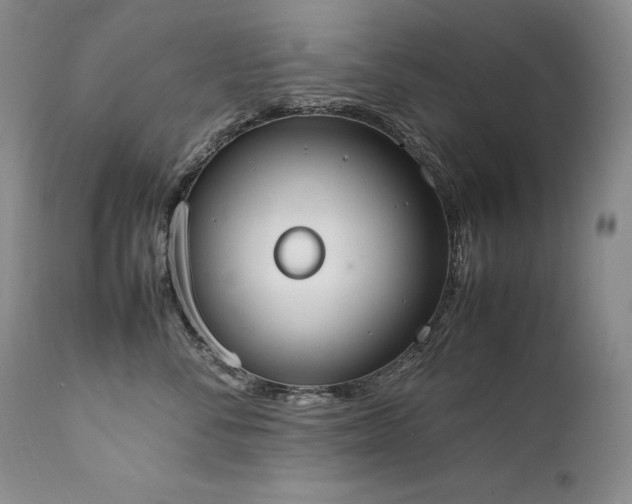 X0000111450716200907131329