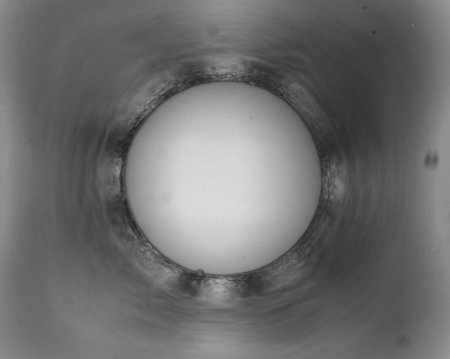 X0000111450717200907131329