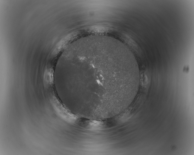 X0000111450718200907131329