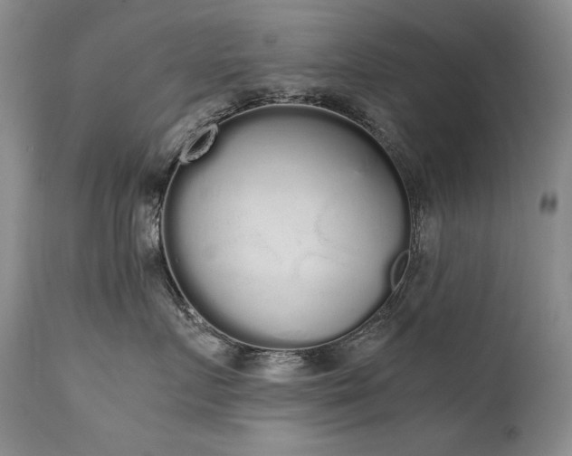 X0000111450719200907131329