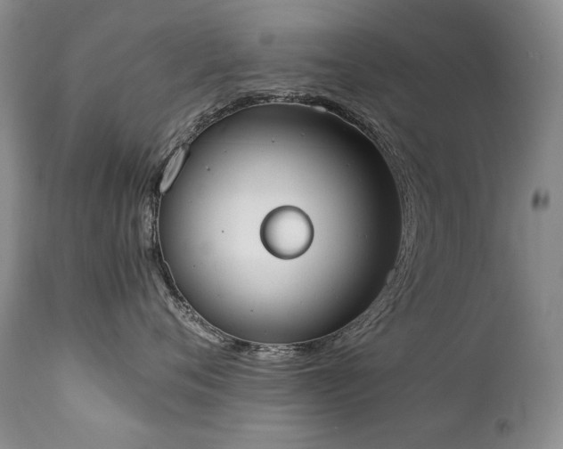 X0000111450720200907131329