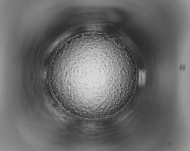 X0000111450723200907131328