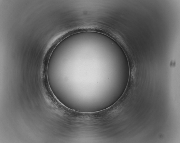 X0000111450724200907131328