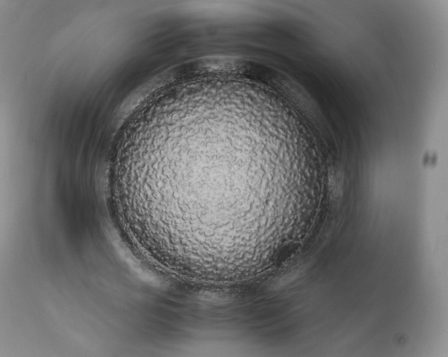 X0000111450725200907131328
