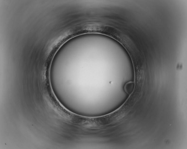 X0000111450727200907131328