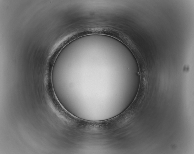 X0000111450728200907131328