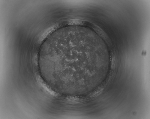 X0000111450729200907131328