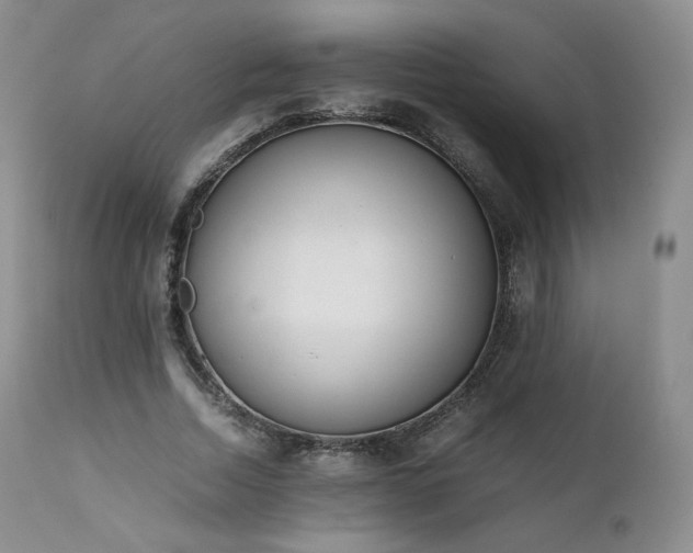X0000111450730200907131328