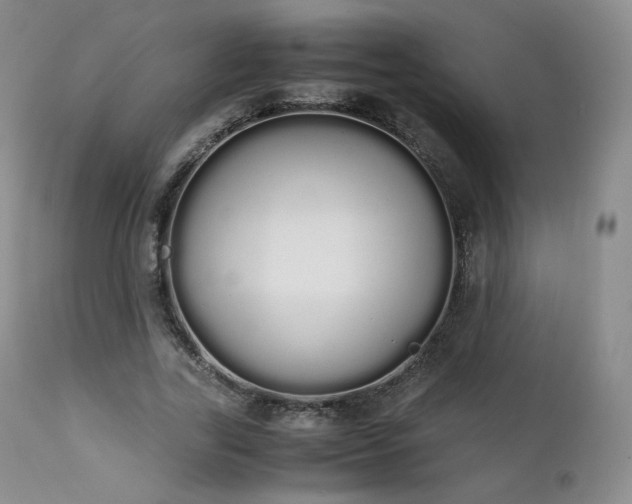 X0000111450731200907131328