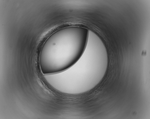 X0000111450732200907131328