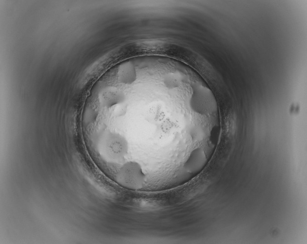 X0000111450733200907131328